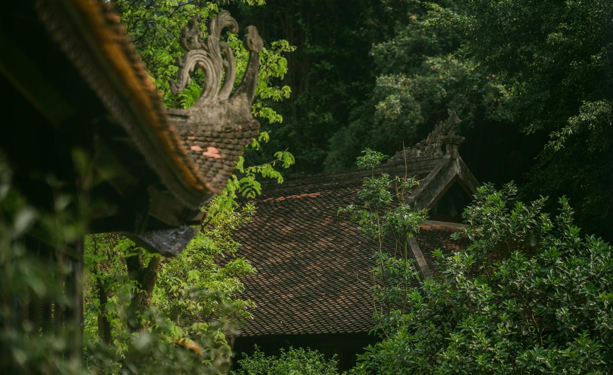 מלון נין בין Jiva Hoa Lu Retreat מראה חיצוני תמונה