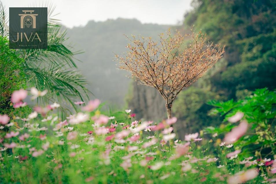 מלון נין בין Jiva Hoa Lu Retreat מראה חיצוני תמונה